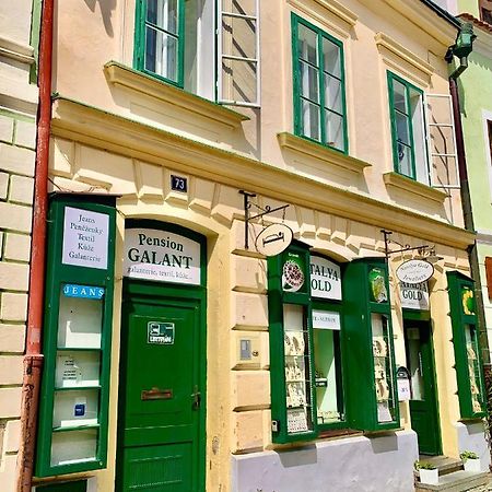 Apartman Galant Cesky Krumlov Exterior photo