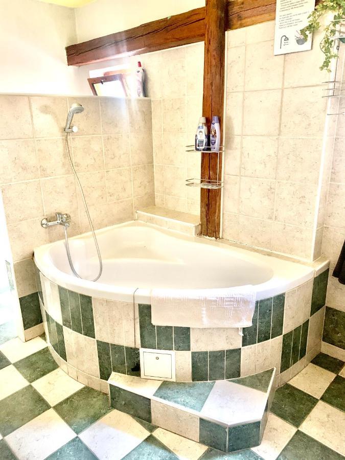 Apartman Galant Cesky Krumlov Exterior photo