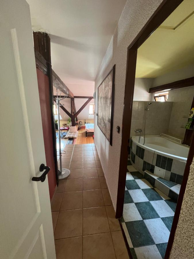 Apartman Galant Cesky Krumlov Exterior photo